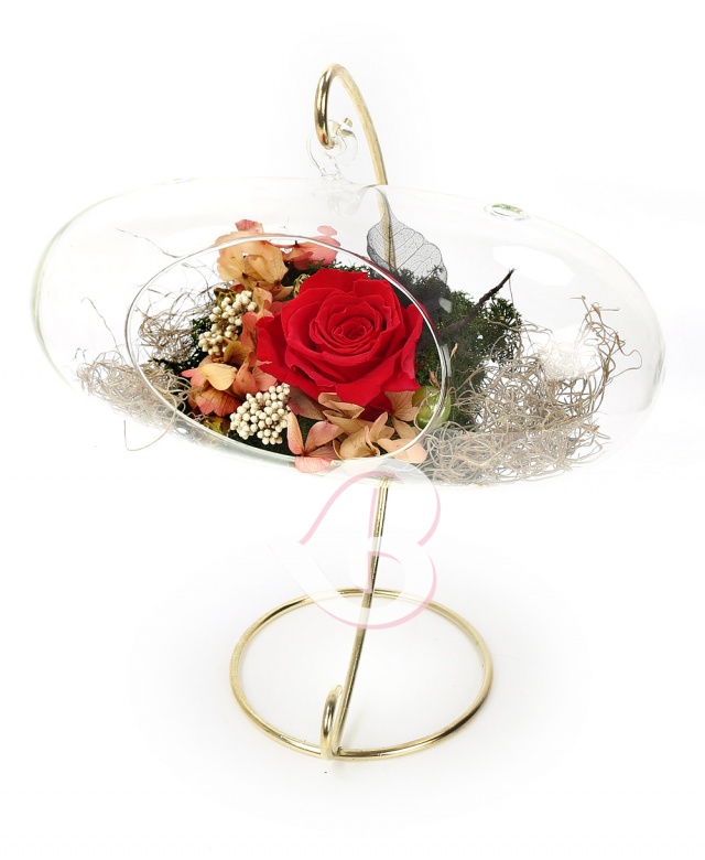 Imaginea produsului Trandafir Criogenat In Terrarium