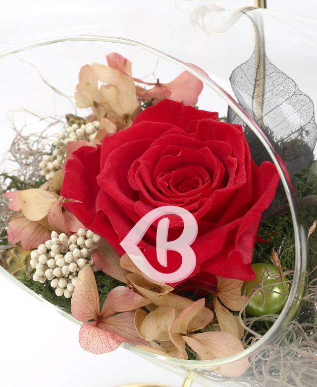 Imaginea produsului Trandafir Criogenat In Terrarium