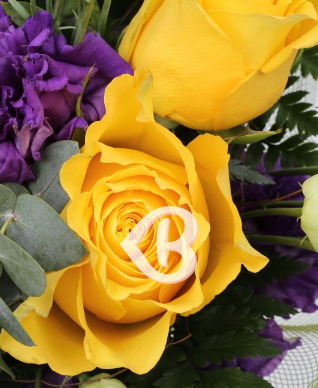 Imaginea produsului Optimism înflacărat