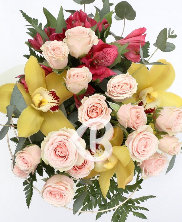 Imaginea produsului Mix Efervescent