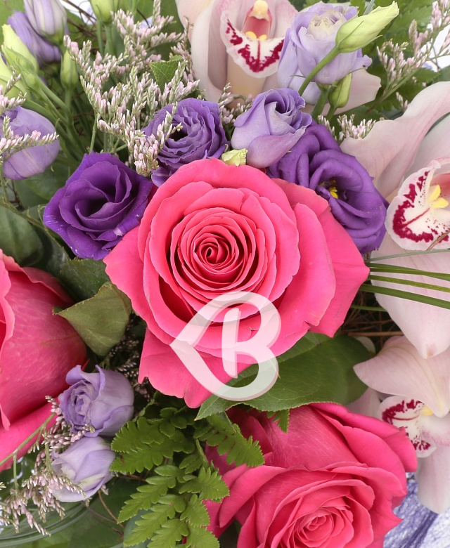 Imaginea produsului Apus Pe Mare