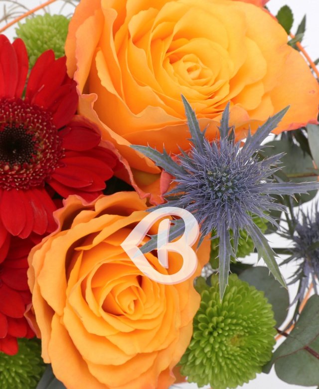 Imaginea produsului Tonic Revigorant