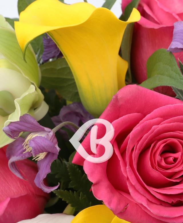 Imaginea produsului Pastel Fascinant