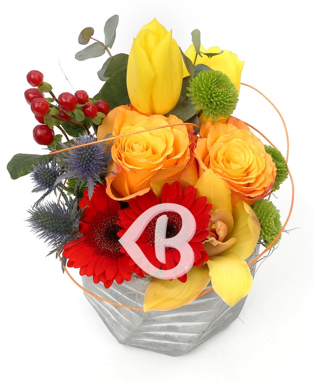 Imaginea produsului Culori Delicioase