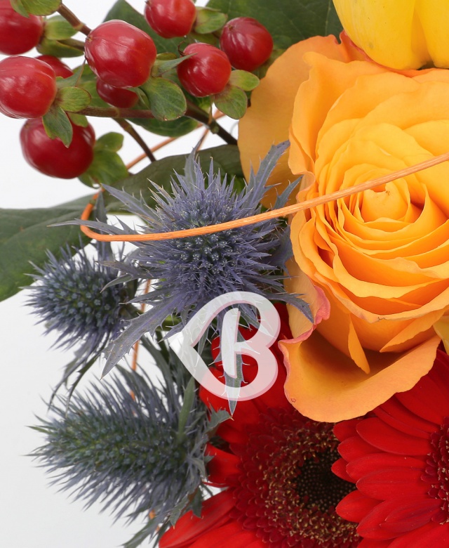 Imaginea produsului Culori Delicioase