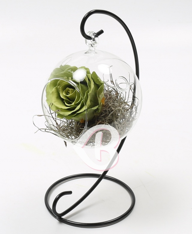 Imaginea produsului Trandafir Criogenat Verde în Glob