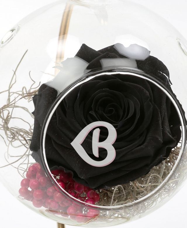 Imaginea produsului Trandafir Negru Criogenat în Glob