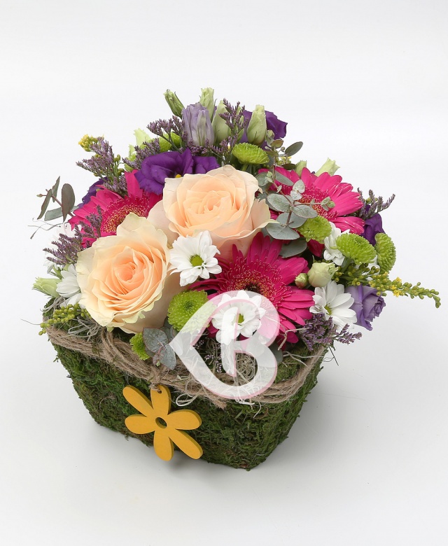 Imaginea produsului Grădină Viselor