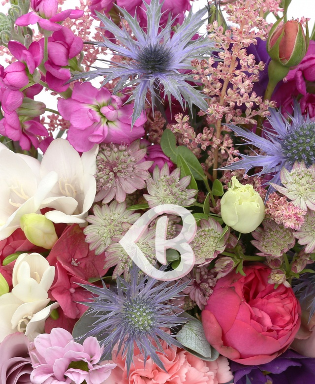 Imaginea produsului Calea Imaginației