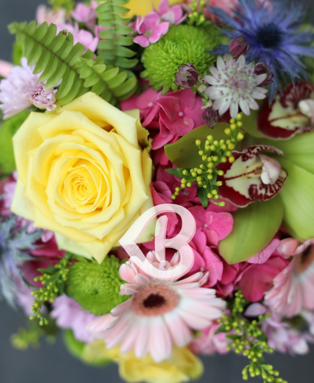 Imaginea produsului Pastel în Cutie