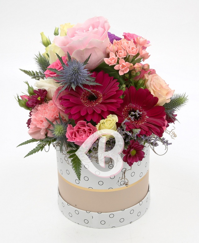 Imaginea produsului Diversitate în Cutie