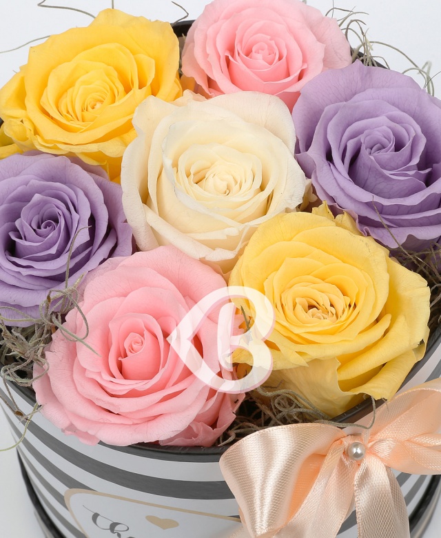 Imaginea produsului Cutie Trandafiri Criogenați Multicolori