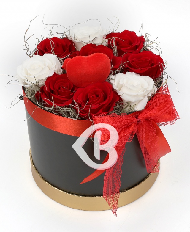 Imaginea produsului Iubire și Admirație Nemuritoare