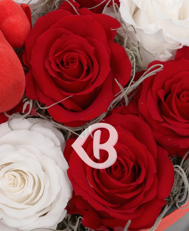 Imaginea produsului Iubire și Admirație Nemuritoare