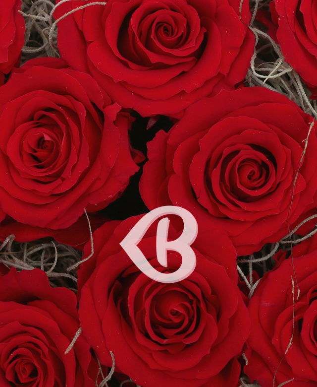 Imaginea produsului Inimă Cu 11 Trandafiri Criogenați