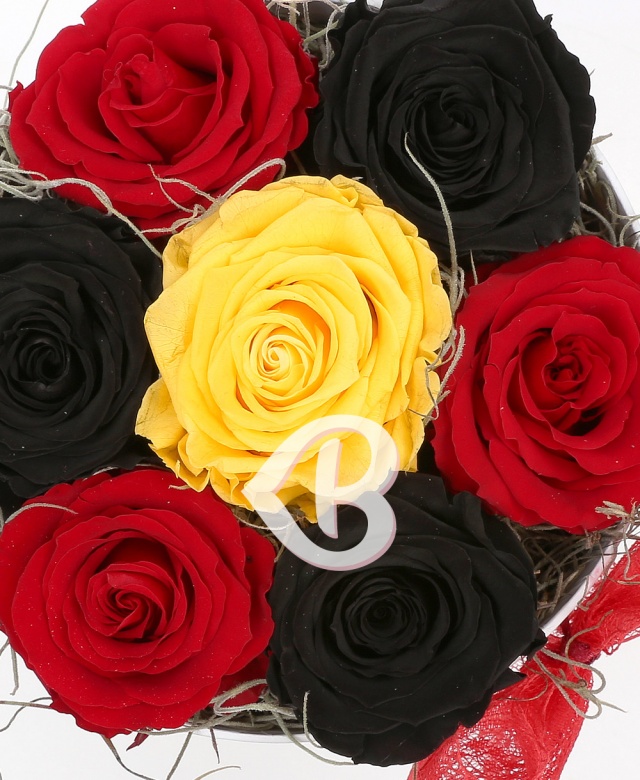 Imaginea produsului Cutie Cu 7 Trandafiri Criogenați în Trei Culori