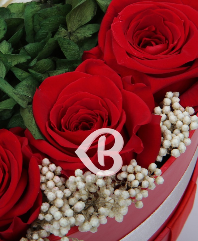 Imaginea produsului Cutie Cu Trandafiri Criogenați în Două Culori