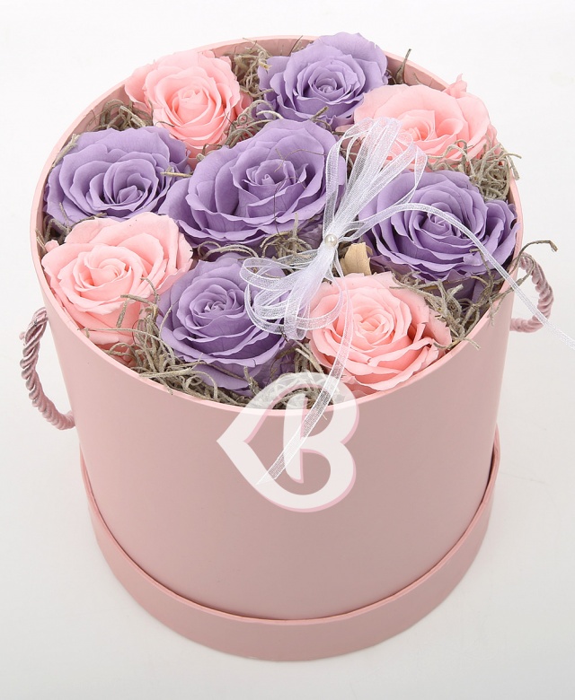 Imaginea produsului Cutie Cu 9 Criogenați Pastel