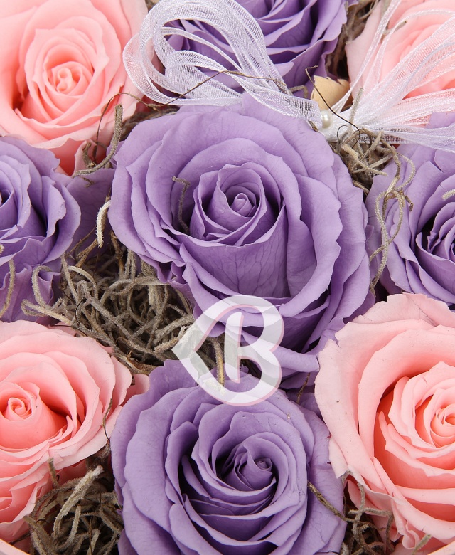 Imaginea produsului Cutie Cu 9 Criogenați Pastel