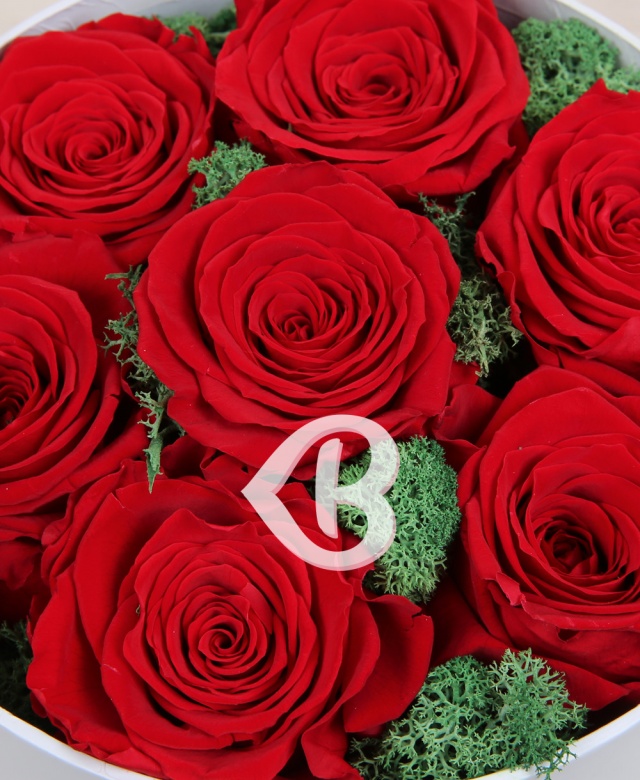 Imaginea produsului 7 Trandafiri Naturali Criogenați