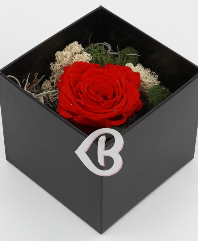 Imaginea produsului Trio Valentine Day