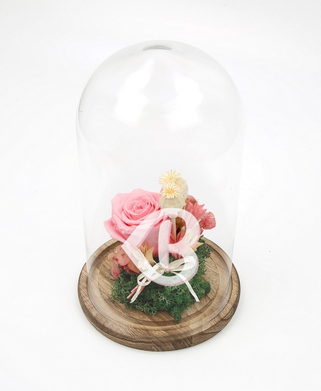 Imaginea produsului Trandafir Roz în Cupolă