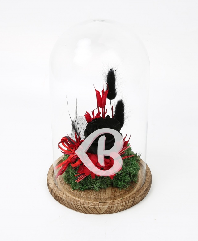 Imaginea produsului Trandafir Negru în Cupolă