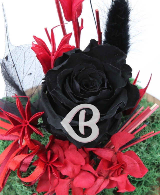 Imaginea produsului Trandafir Negru în Cupolă