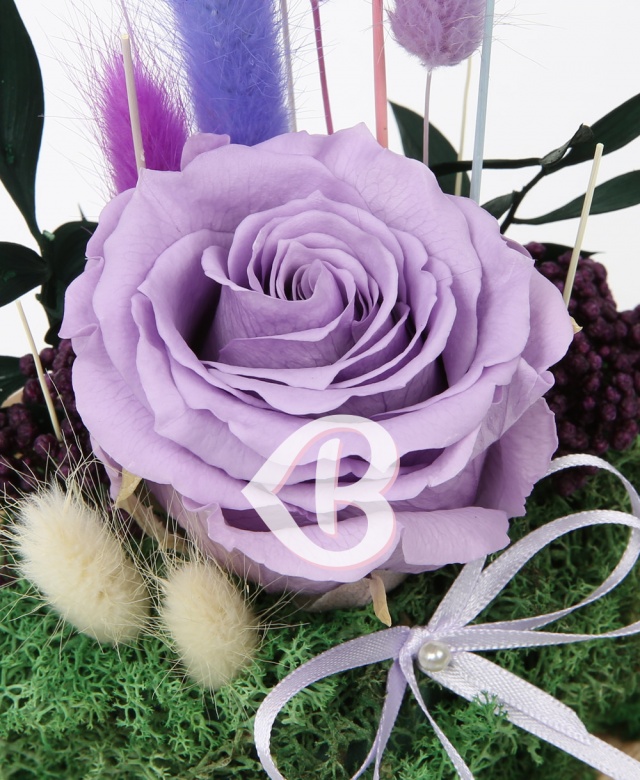 Imaginea produsului Trandafir Violet în Cupolă Imaginea produsului Trandafir Violet în Cupolă