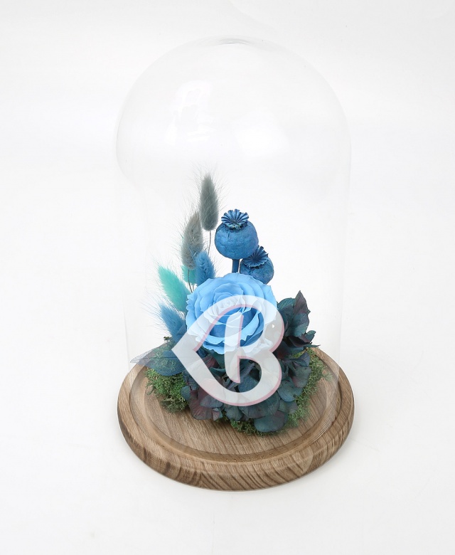 Imaginea produsului Trandafir Bleu Azur în Cupolă Imaginea produsului Trandafir Bleu Azur în Cupolă