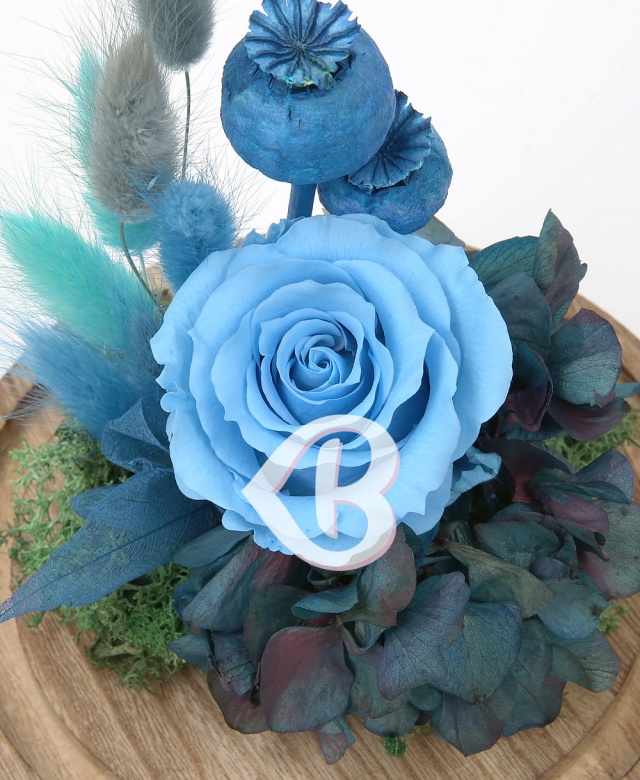 Imaginea produsului Trandafir Bleu Azur în Cupolă Imaginea produsului Trandafir Bleu Azur în Cupolă