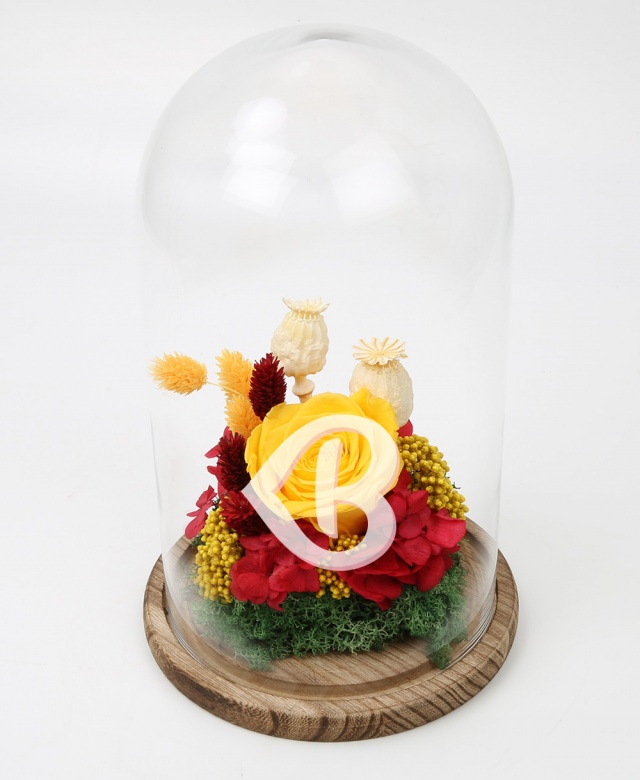 Imaginea produsului Trandafir Galben în Cupolă