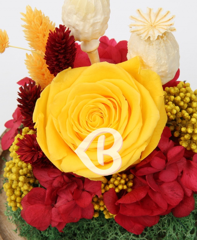 Imaginea produsului Trandafir Galben în Cupolă