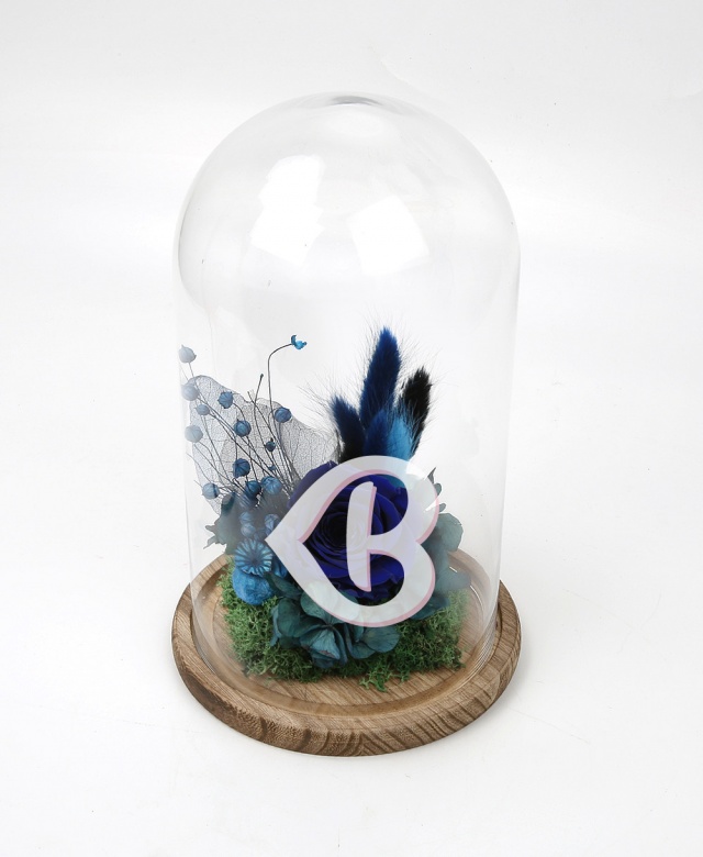 Imaginea produsului Trandafir Albastru în Cupolă