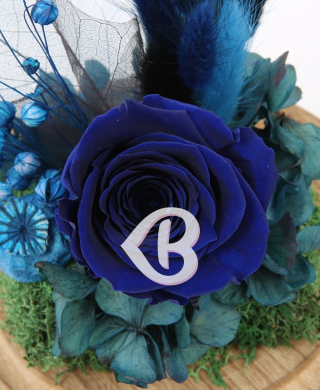 Imaginea produsului Trandafir Albastru în Cupolă