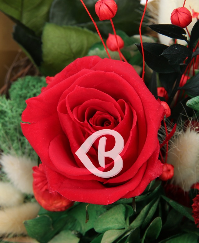 Imaginea produsului Buchet Trandafir Roșu Criogenat