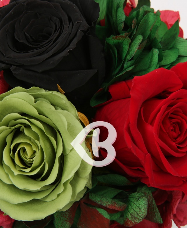 Imaginea produsului Cupola Contrastelor