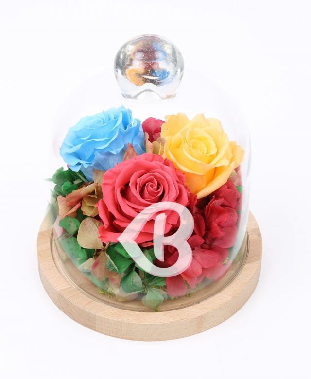 Imaginea produsului Cupola Pastelurilor