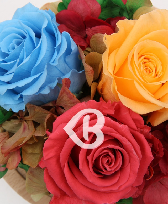 Imaginea produsului Cupola Pastelurilor