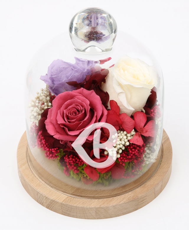 Imaginea produsului Cupola Fermecată