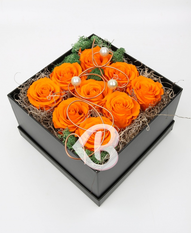 Imaginea produsului Entuziasm și Recunoștință