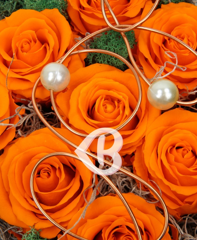 Imaginea produsului Entuziasm și Recunoștință