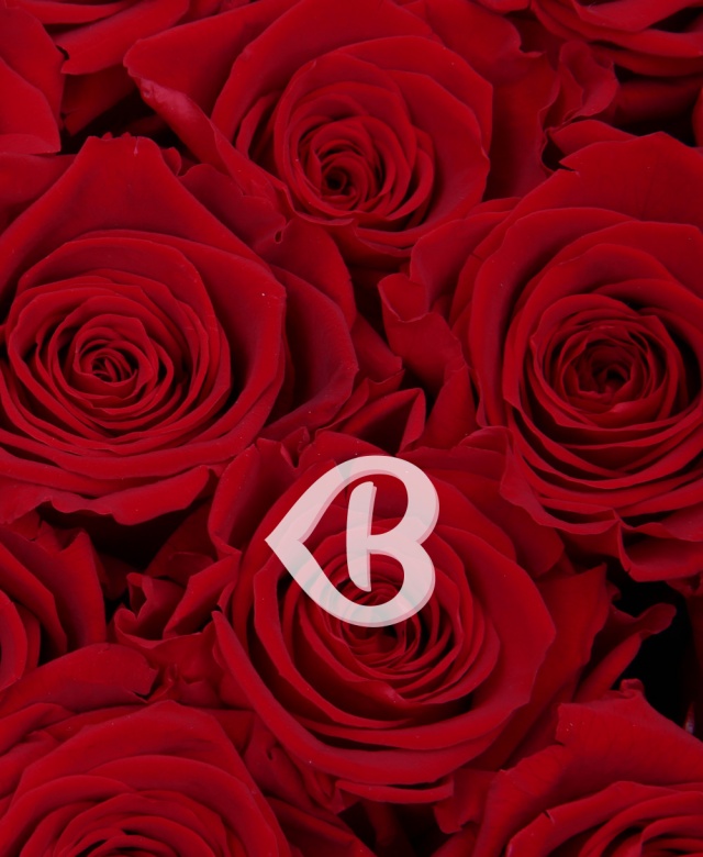 Imaginea produsului Cutia Sentimentelor