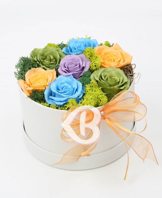 Imaginea produsului Bucurie și Extaz