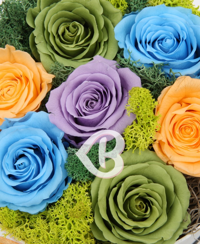 Imaginea produsului Bucurie și Extaz