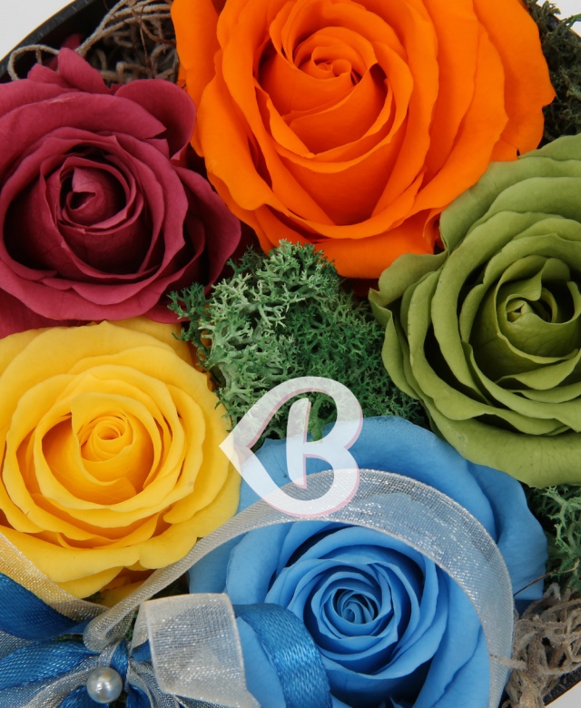 Imaginea produsului Carnavalul Rozelor