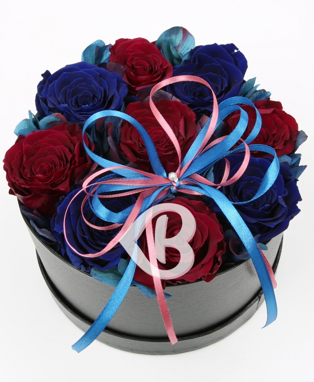 Imaginea produsului Sentimente și Eleganță