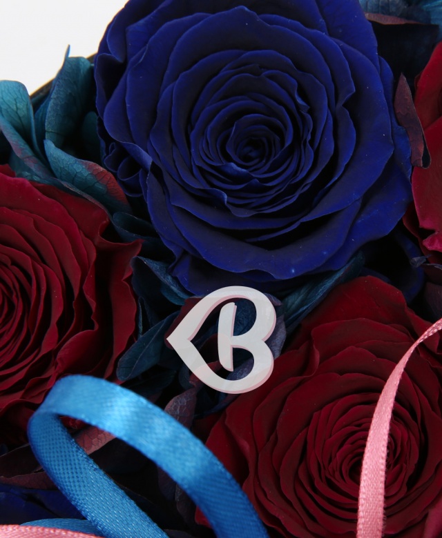 Imaginea produsului Sentimente și Eleganță