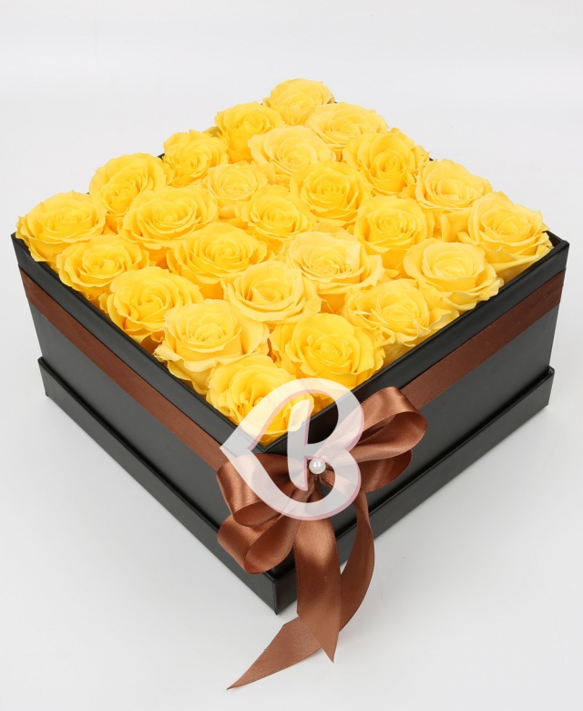 Imaginea produsului Bucurie și Căldură