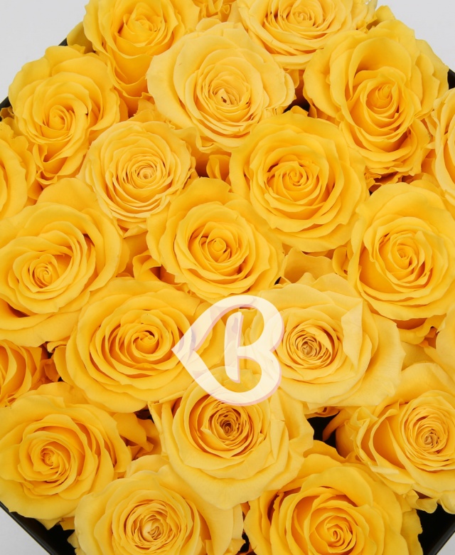 Imaginea produsului Bucurie și Căldură